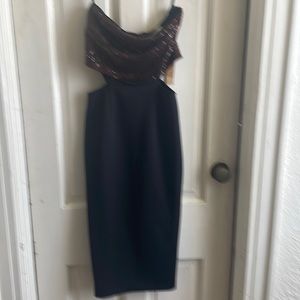 Rachel Rachel Roy Dress